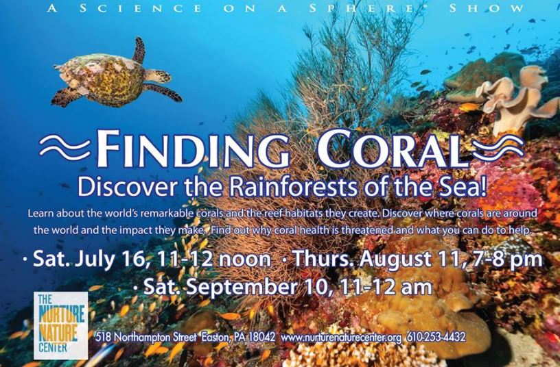 Science on a Sphere - Finding Coral: Discover the Rainforests of the Sea
