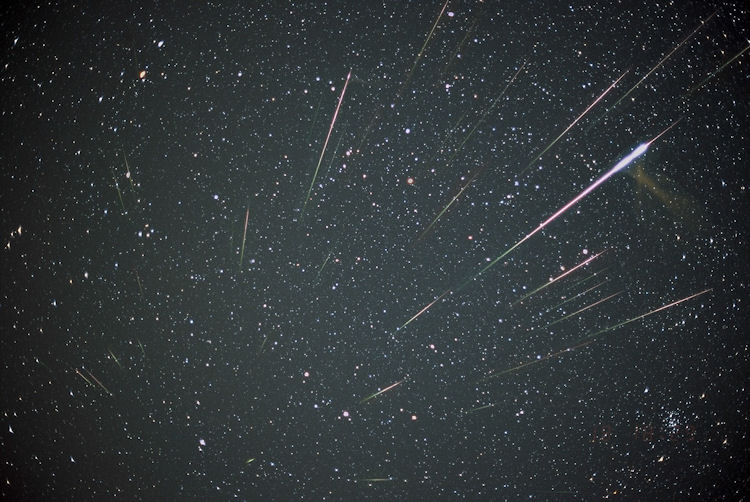 Explore the Sky: Leonid Meteor Shower Watch Party